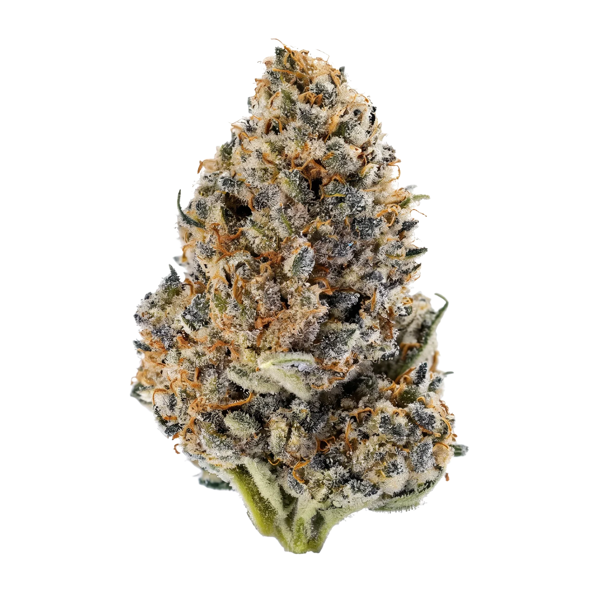 Lemon Cherry Gelato